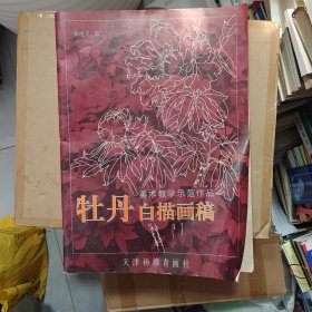 牡丹白描画稿——美术教学示范作品