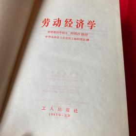 劳动经济学