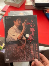 咏春拳（光盘）