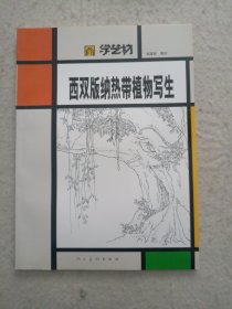 学艺坊，西双版纳热带植物写生 赵建民