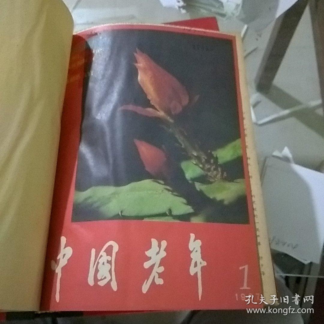 中国老年1987.1-12