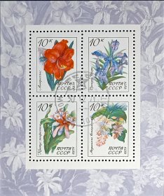 苏联邮票，1971年亚热带花卉邮票小全张
