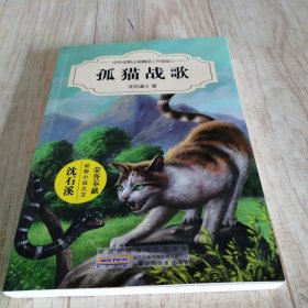 沈石溪/中外动物小说精品（升级版）：孤猫战歌