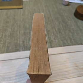 乞丐·窃贼