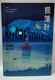抓落叶（我们都是生命的旅人，抵达终点就是人生的意义）