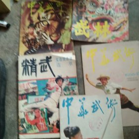 武林 精武 武术杂志5本合售如图