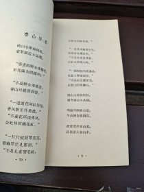 赞歌集（正版现货，内容页无字迹划线）