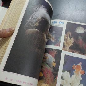 摄影世界1985年全年1-12期精装合订本——s3