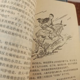 河北民兵革命斗争故事（第一集）