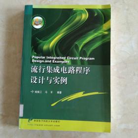 流行集成电路程序设计与实例  馆藏正版无笔迹