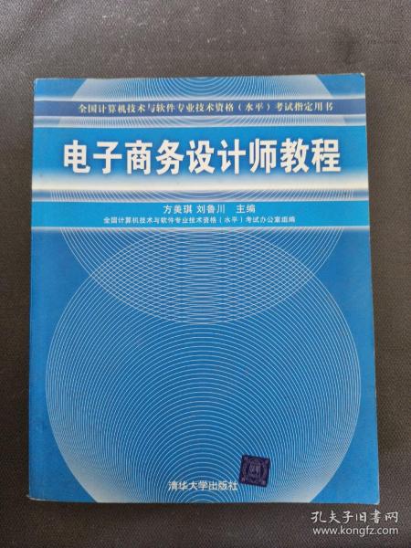 全国计算机技术与软件专业技术资格水平考试指定用书：电子商务设计师教程