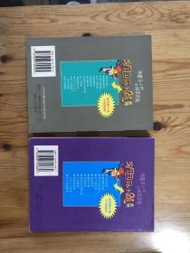 淘气包马小跳系列：寻找大熊猫，小大人丁文涛