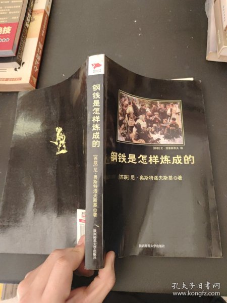 钢铁是怎样炼成的