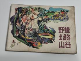 野蜂出没的山谷