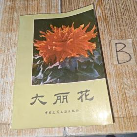 大丽花（一版一印 后附大量彩色插图本）【包邮】