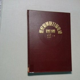 组织和细胞扫描电镜图谱