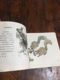 怎样画猫、小熊猫、松鼠