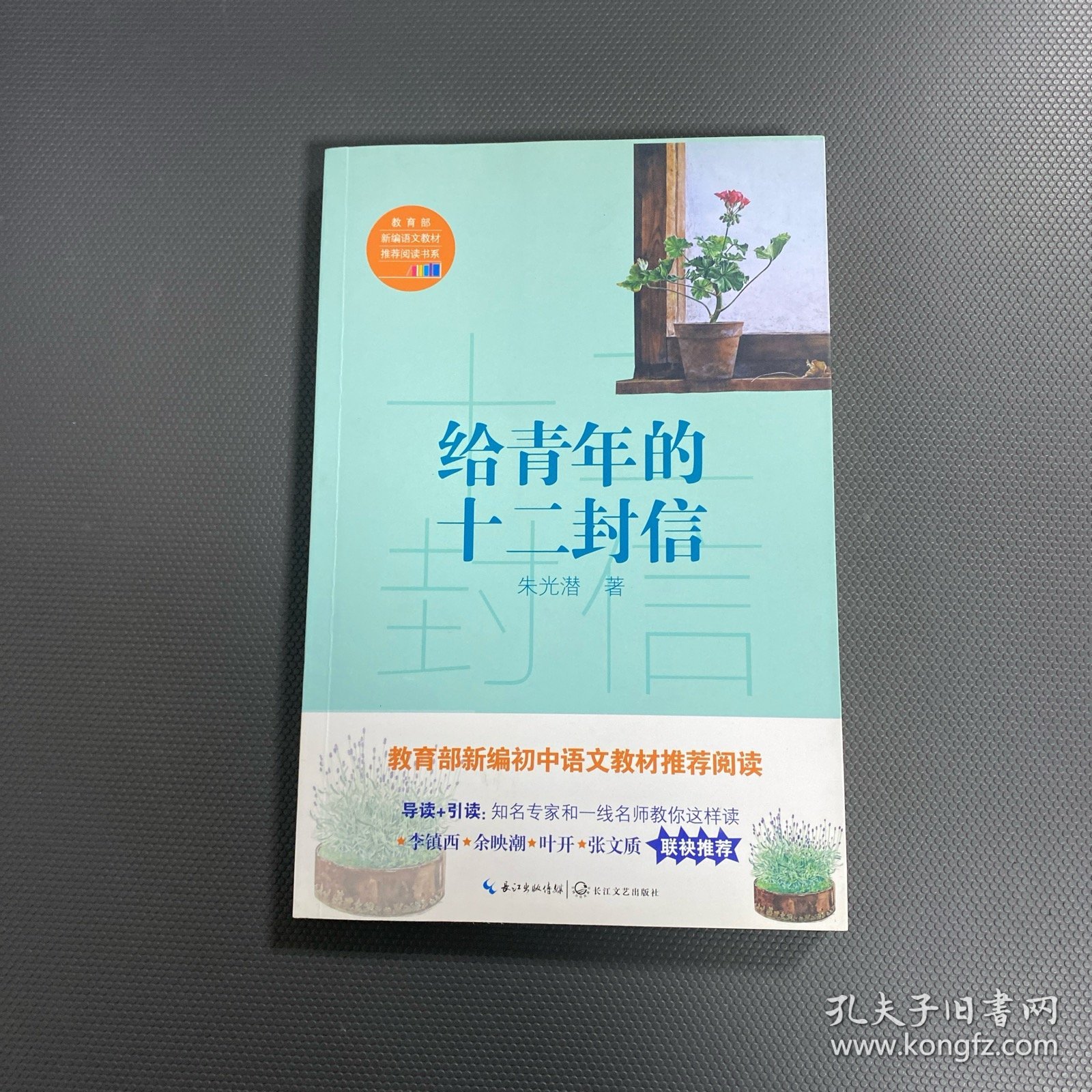 给青年的十二封信/教育部新编语文教材推荐阅读书系
