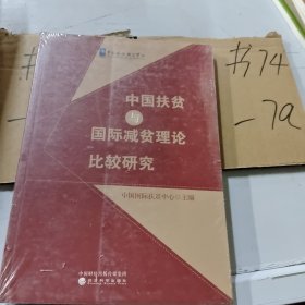 中国扶贫与国际减贫理论比较研究