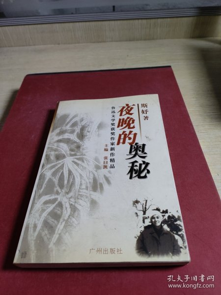 鲁迅文学奖获奖作家新作精品：微尘中的金屑