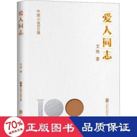 爱人同志 中国现当代文学 艾伟