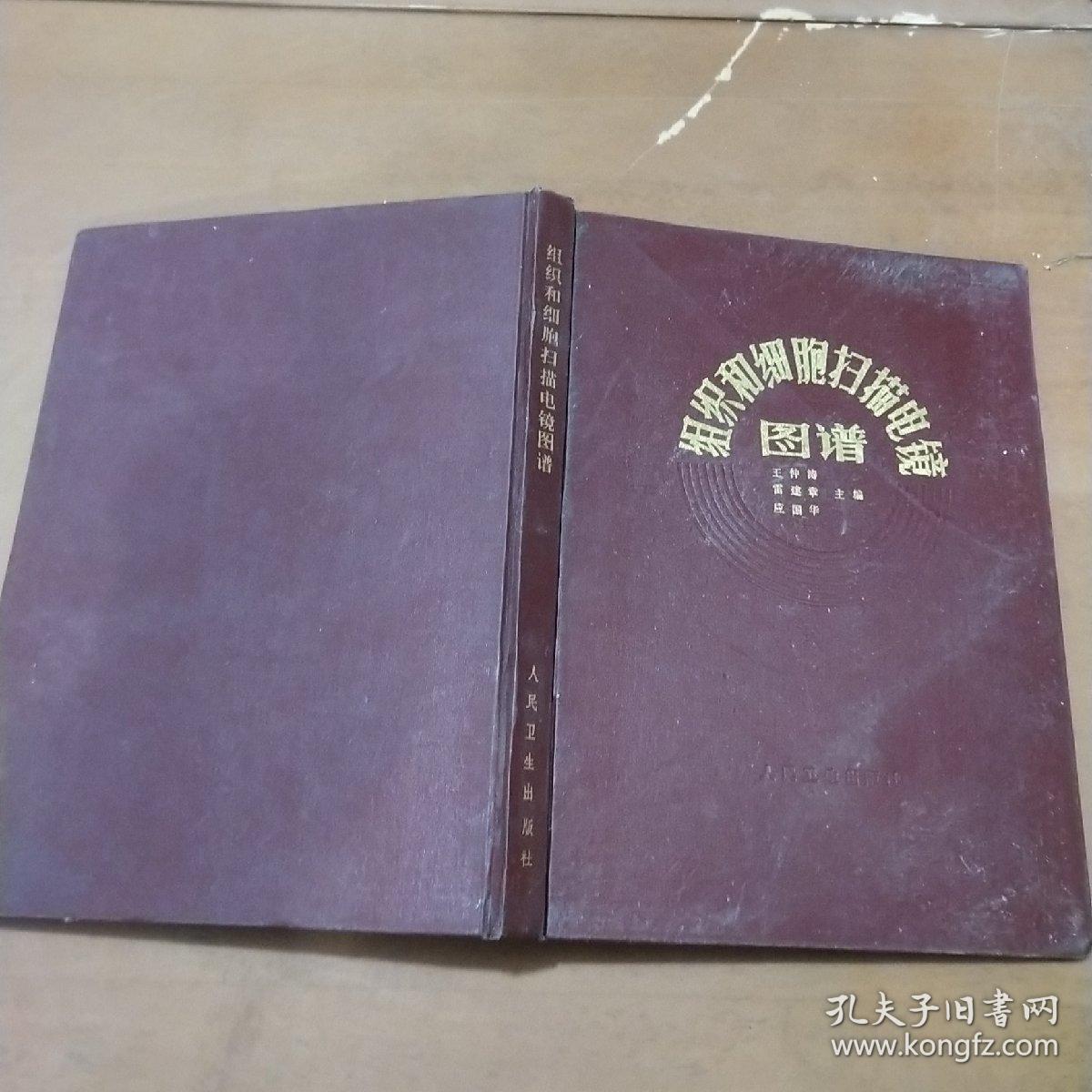 组织和细胞扫描电镜图谱