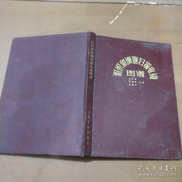 组织和细胞扫描电镜图谱