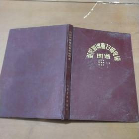 组织和细胞扫描电镜图谱