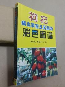 枸杞病虫草害及其防治彩色图谱
