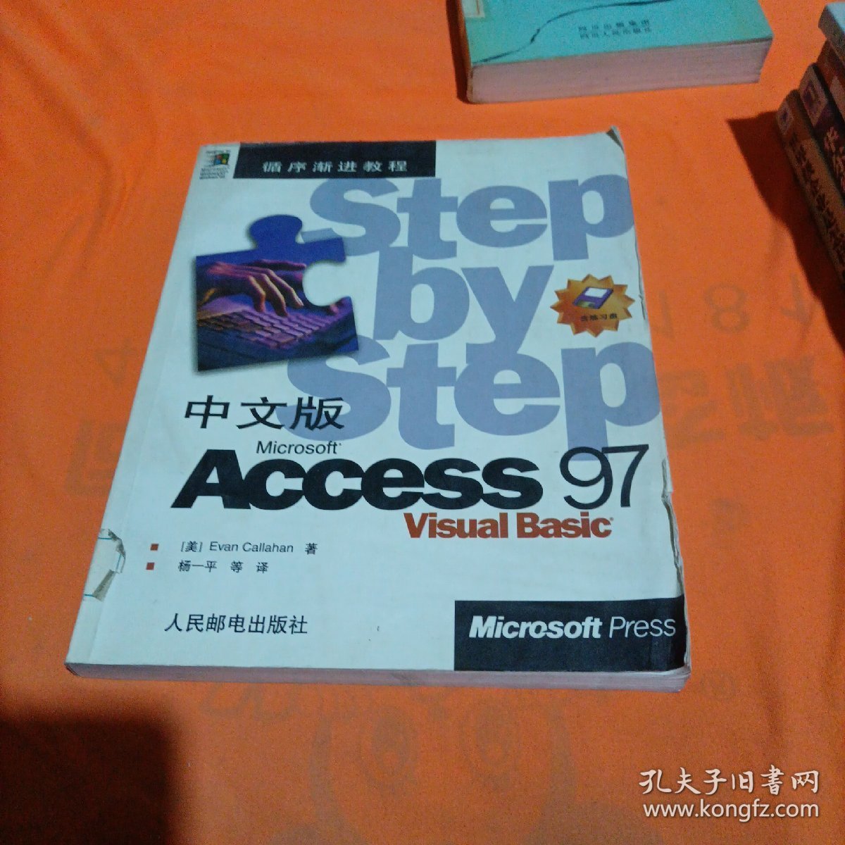 中文版Microsoft Access 97 Visual Basic