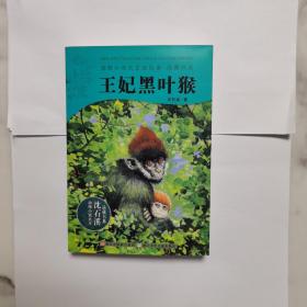 动物小说大王沈石溪：王妃黑叶猴