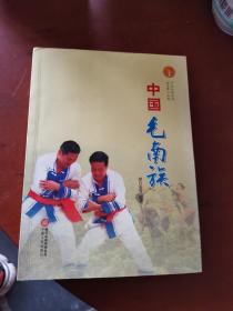 中华民族全书：中国毛南族