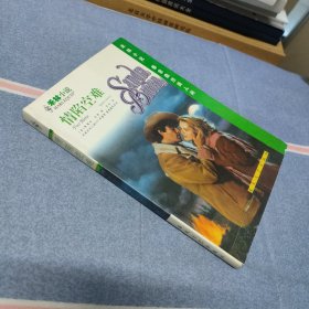 禾林系列小说2001年春季.春意盎然系列:情陷空难（无笔迹）