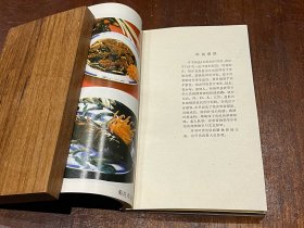 家庭药膳 川菜大全（32开平装，食谱类，品好）