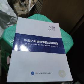 中国2型糖尿病防治指南 2013附光盘