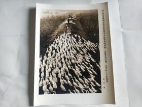 老照片新闻照片 大尺寸(20.5x15.5cm )【浙江省湖州市郊农民利用水乡优势养鸭养鹅，发展各种经营，经济收入不断提高。】包邮！