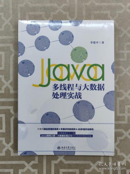 Java多线程与大数据处理实战