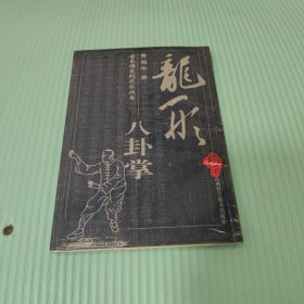 龙形八卦掌