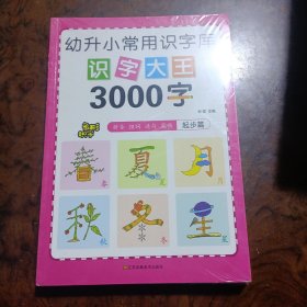 幼儿学前识字大王3000字全套6册 幼小衔接一日一练全套识字教材 幼儿园大班中班小班一年级3-4-5-6岁幼升小看图识字神器儿童启蒙早教认字书