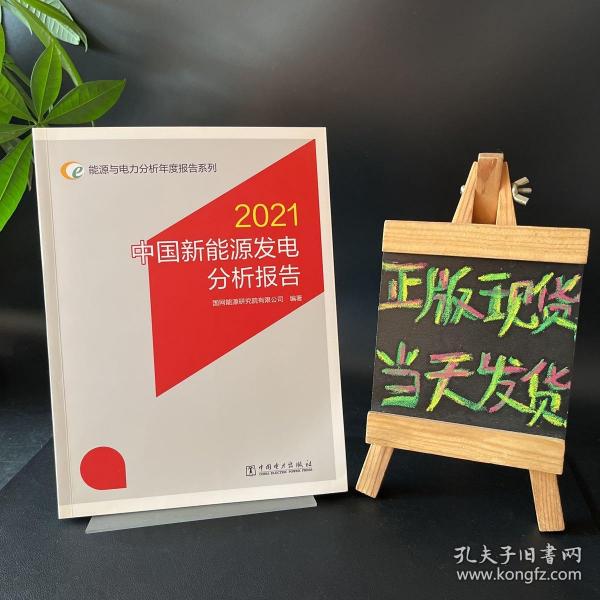 能源与电力分析年度报告系列2021中国新能源发电分析报告