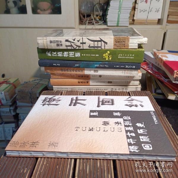 揭开古墓秘密  回顾历史（16开硬精装彩图画册 ）