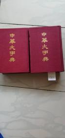 中华大字典(上下)