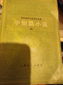 陀思妥耶夫斯基作品集中短篇小说（二）