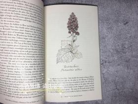 预售中土世界的植物 植物学与次创造 平装 The Plants of Middle-earth : Botany and Sub-creation