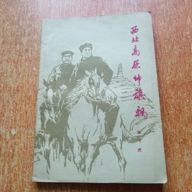 西北高原帅旗飘（插图本）