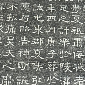 钱泳辑缩临汉碑拓本：《鲁峻碑》，全称《汉故司隶校尉忠惠父鲁君碑》。东汉熹平二年(173)四月十二日刻立。隶书。碑阳十七行，行三十二字。碑阴二列，各二十一行，有额隶书十二字。碑石原在山东任城，现在济宁博物馆。单张，画心尺寸：48×22cm