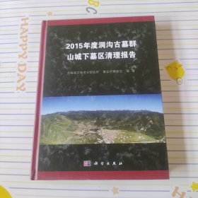 2015年度洞沟古墓群山城下墓区清理报告