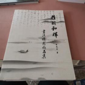 雅韻和輝書法攝影作品集。