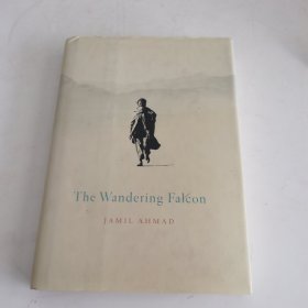 The Wandering Falcon 流浪的猎鹰 历史小说 Jamil Ahmad（b-7）