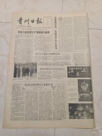 贵州日报1984年2月17日。茅溪大队形成生产建材的专业村。邓小平王震在上海视察参观。筑城元宵灯会。